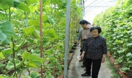 兰陵吃瓜最新事件爆料是真的吗,最新爆料真相揭秘