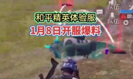 和平精英最新爆料体验服,全新内容抢先看，战局再升级！