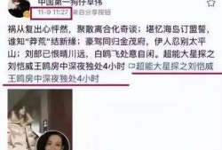 刘大锤爆料最新消息新闻,最新热点新闻大揭秘！