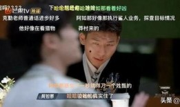 阿厦爆料大哥视频大全最新,揭秘大哥视频大全背后的精彩故事