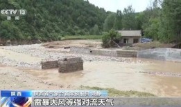 深圳爆料山洪最新消息,深圳山洪突发！最新救援进展及受灾情况通报