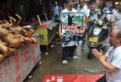 保定宠物店爆料事件最新,惊人内幕揭露行业黑幕