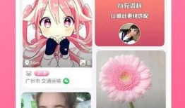 小雨最新爆料视频下载,事件真相大起底