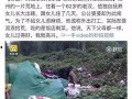 砀山最新事件爆料视频大全,多角度还原现场，真相揭晓